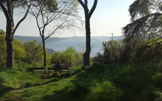 Kandilli: İstanbul İlhamı