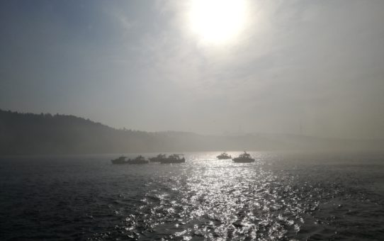 İşin aslı,
