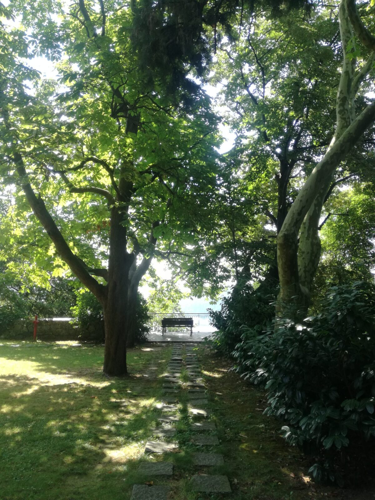 Renklerin izinde