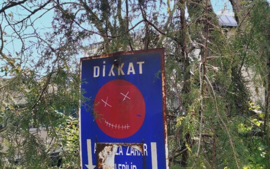 Kısa bir aşk