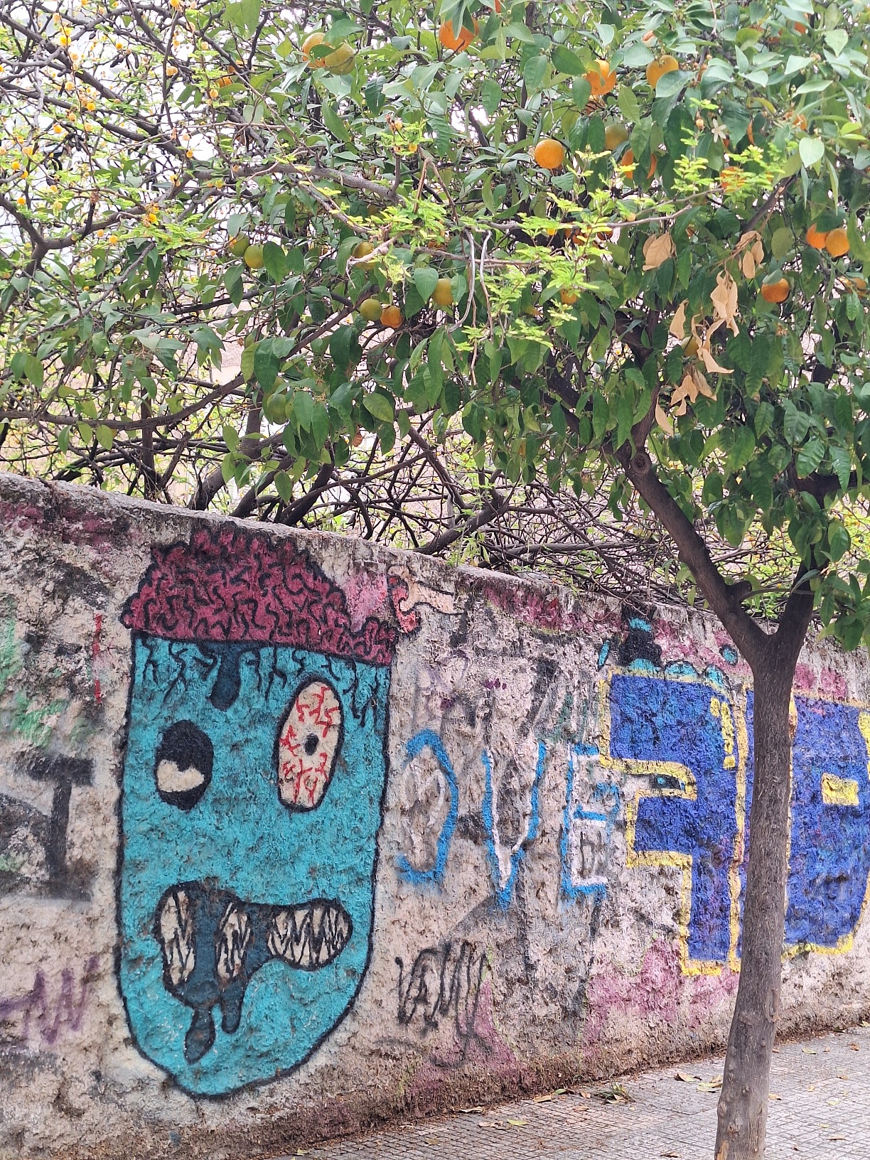 Kendini Beğenmişin Ayrılığı